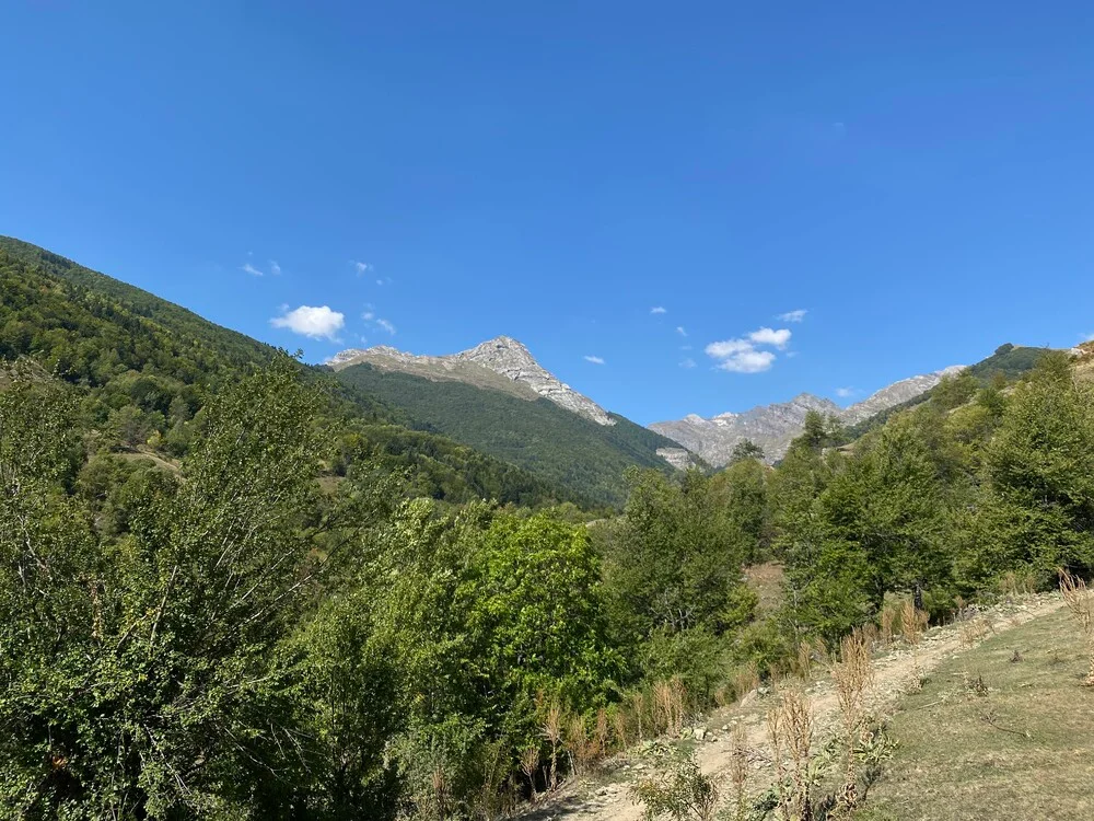 Ancient and Primeval Beech Forests of the Carpathians and Other Regions of Europe - 2