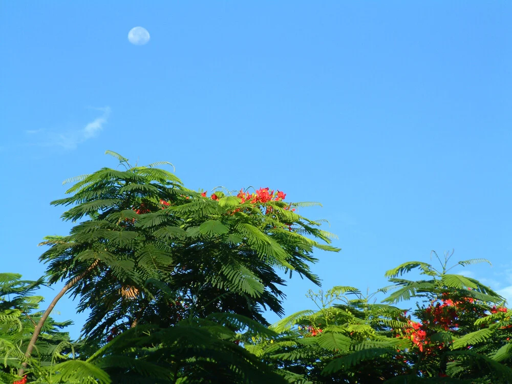Parque Nacional de Phong Nha-Ke Bang