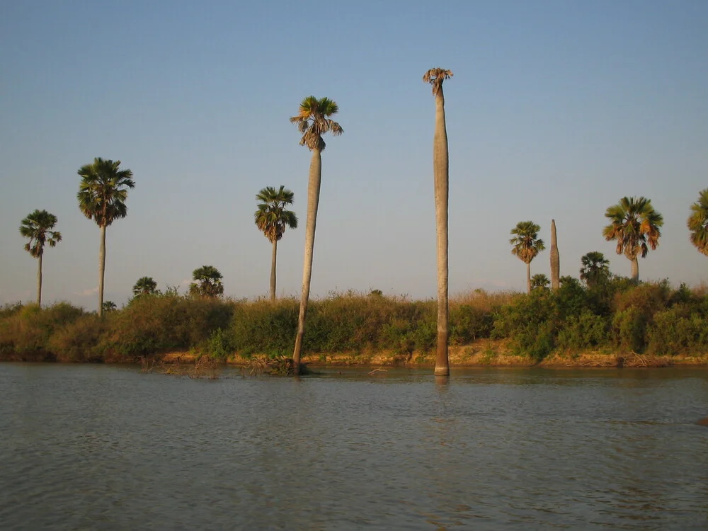 Reserva de Caza de Selous