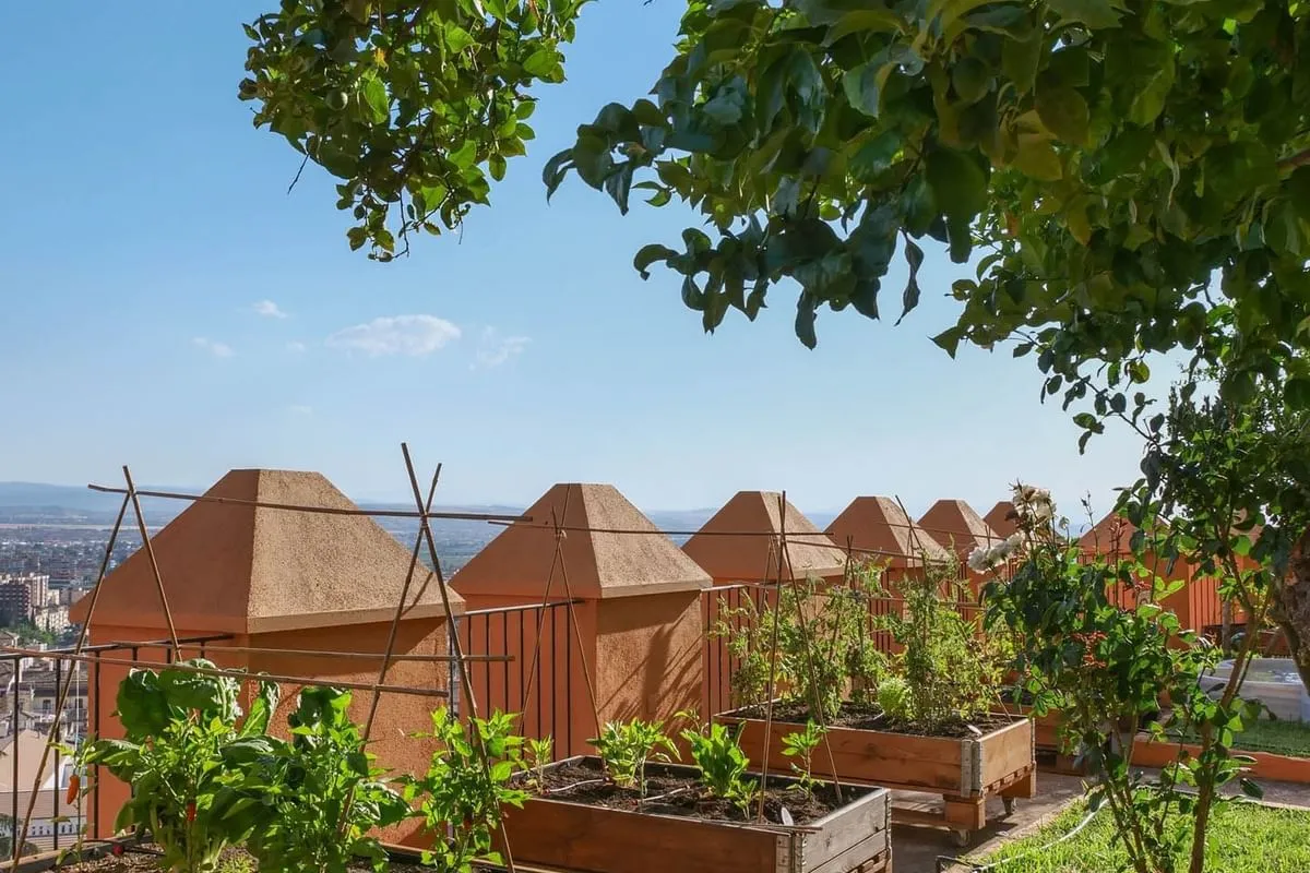 Terraza