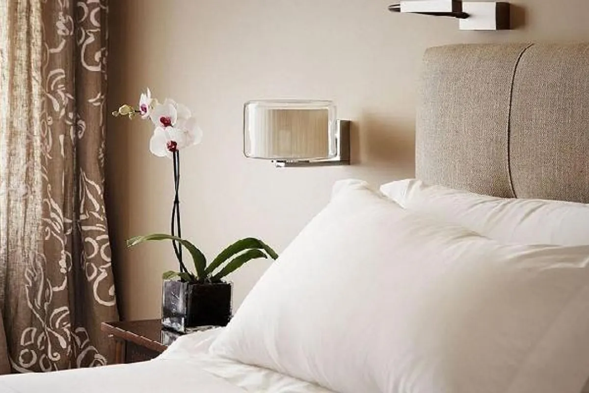 Hotel Rector — imagen 8