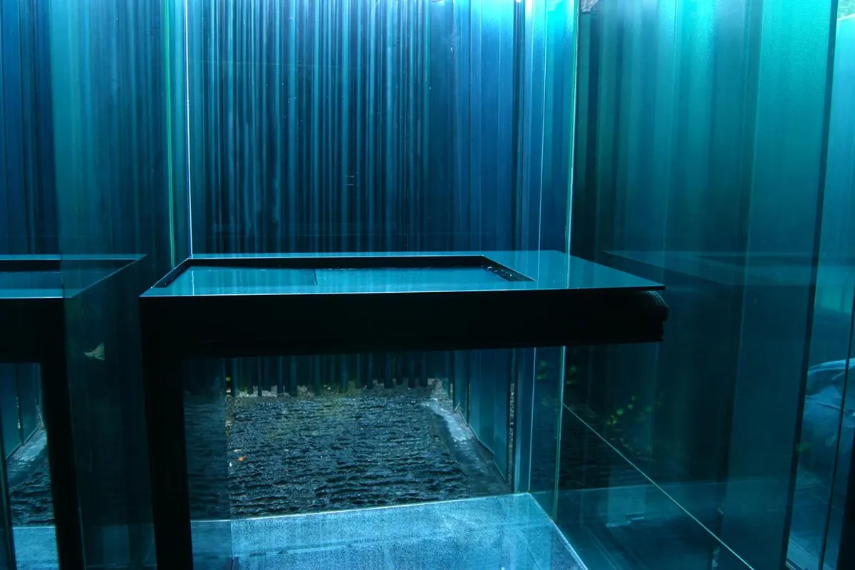 Les Cols Pavellons — imagen 8