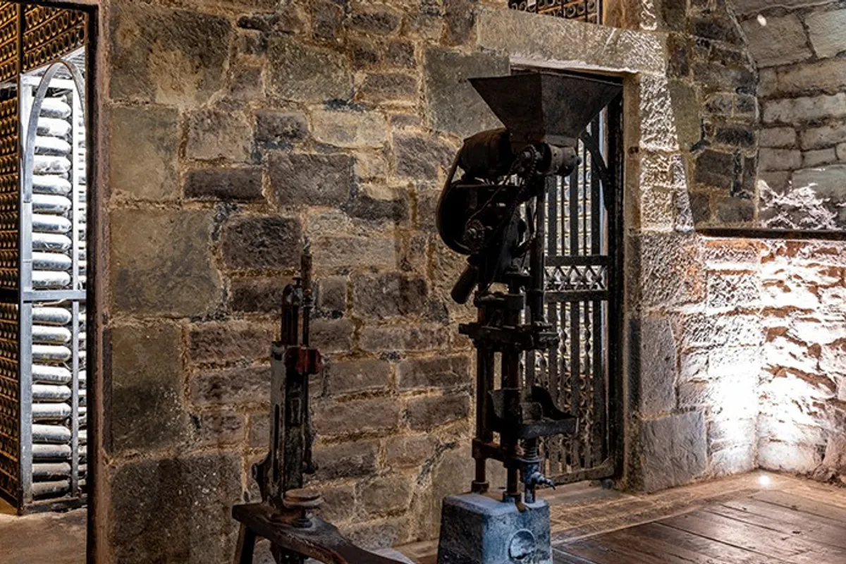Barricas de vino