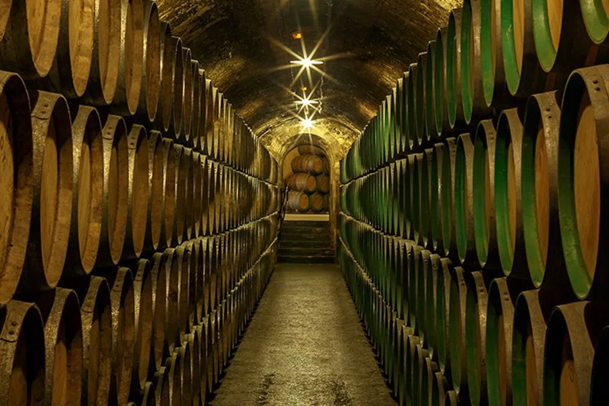 Bodega interior