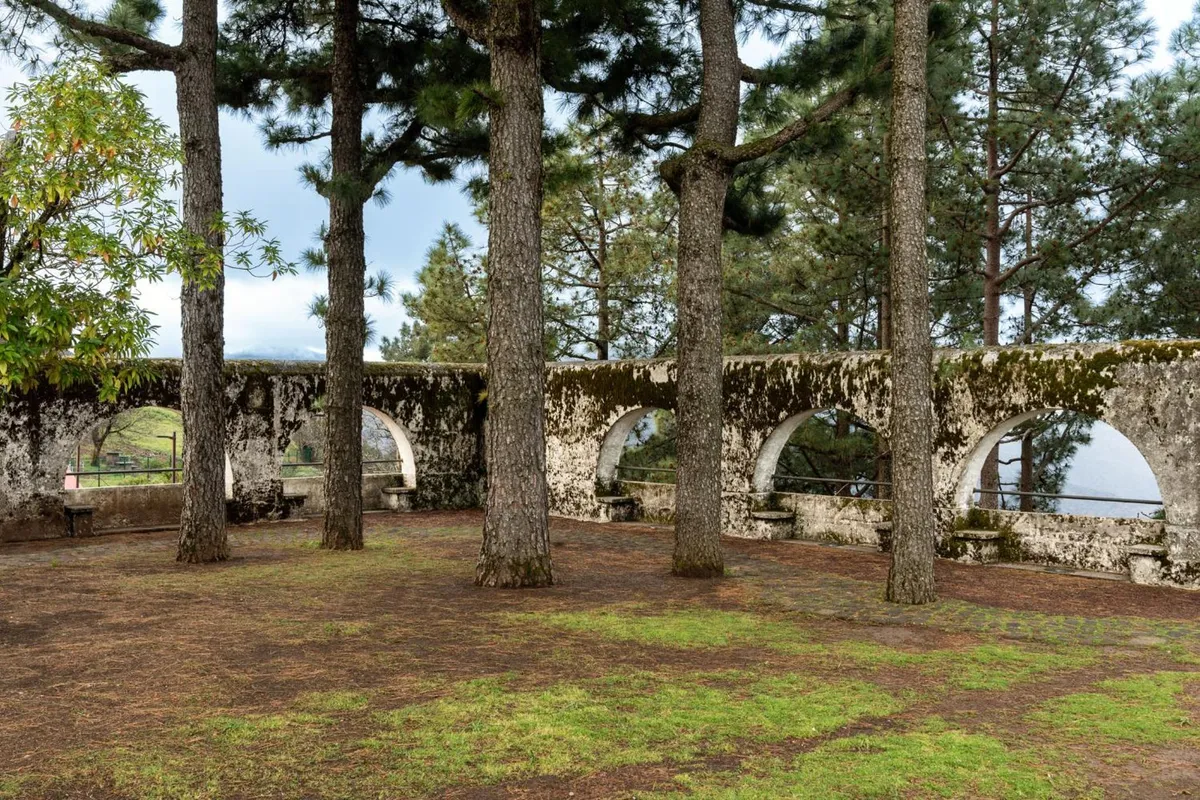 Parador de Cruz de Tejeda — imagen 14