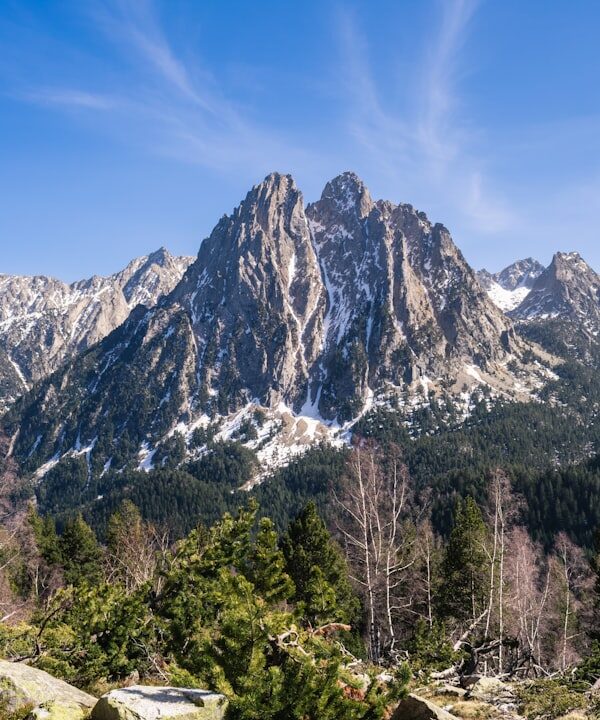 the mountains are covered in snow and trees. Autor: Mateo Krossler. Fuente: Unsplash.