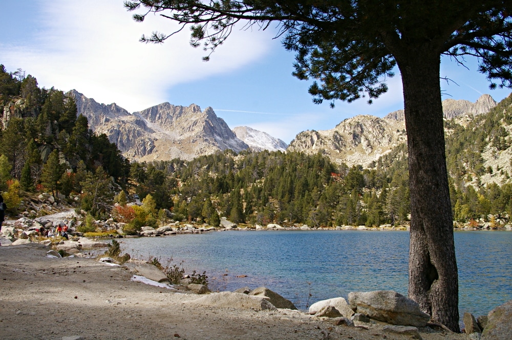 image_wikipedia_04.jpg