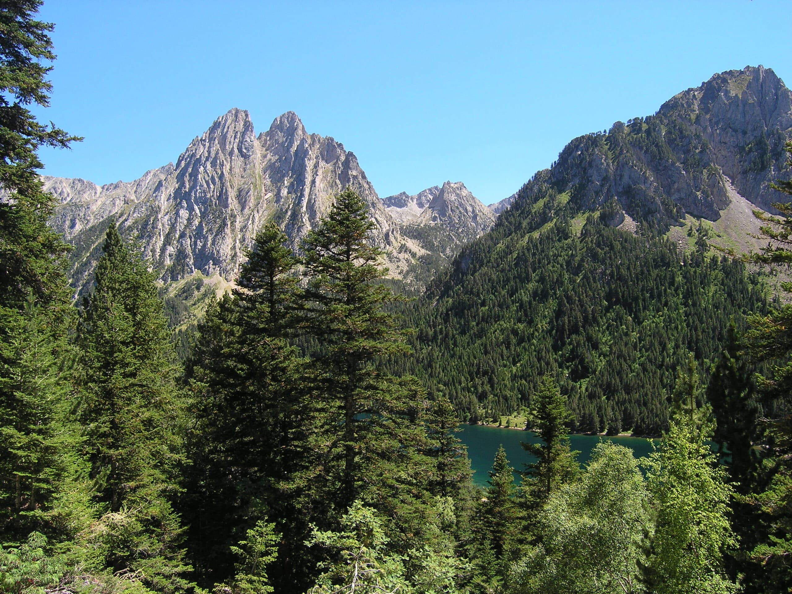 image_wikipedia_08.jpg