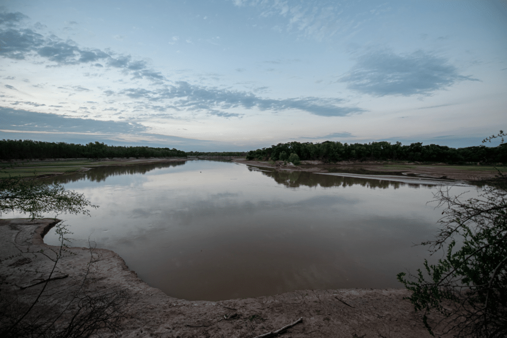 El Impenetrable: Una espectacular selva en el corazón de Argentina