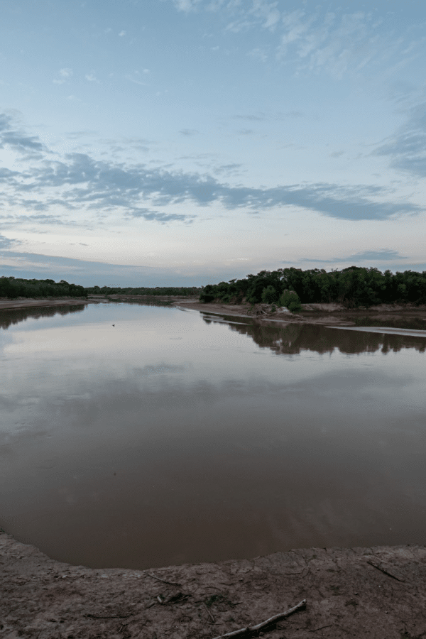 El Impenetrable: Un Espectacular Ecosistema en el Corazón de Argentina