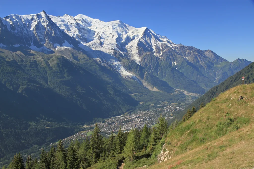 Chamonix_valley_from_la_Flgre2010_07