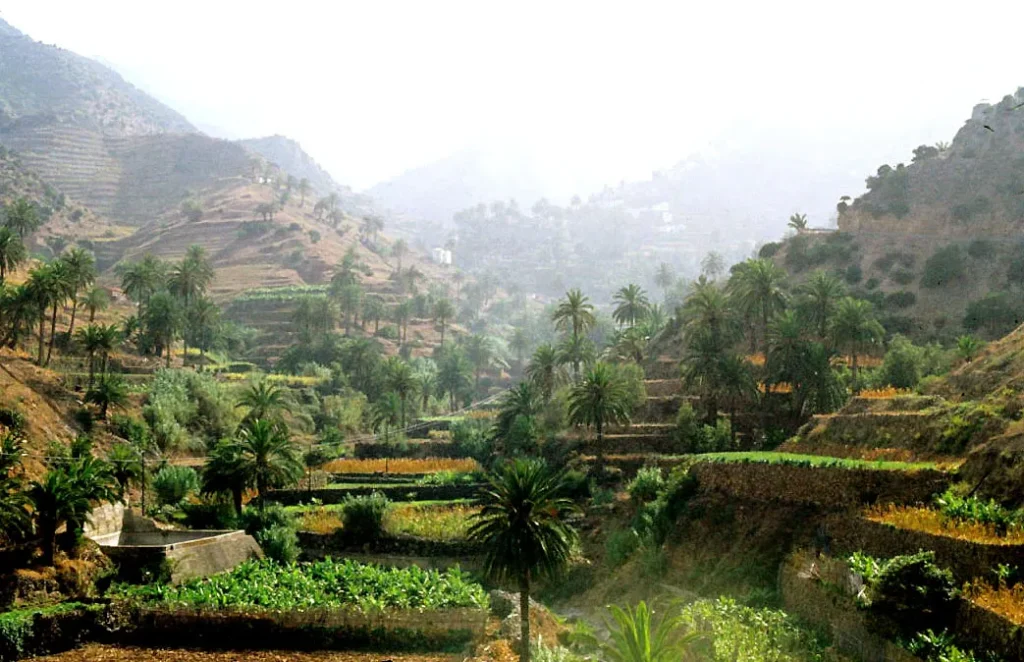 Campos aterrazados. La Gomera (Islas Canarias, España) / LBM1948