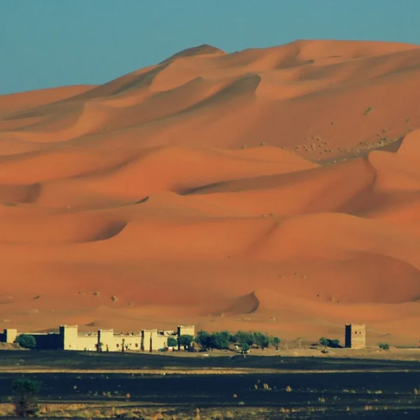 Merzouga, Morocco / bachmont