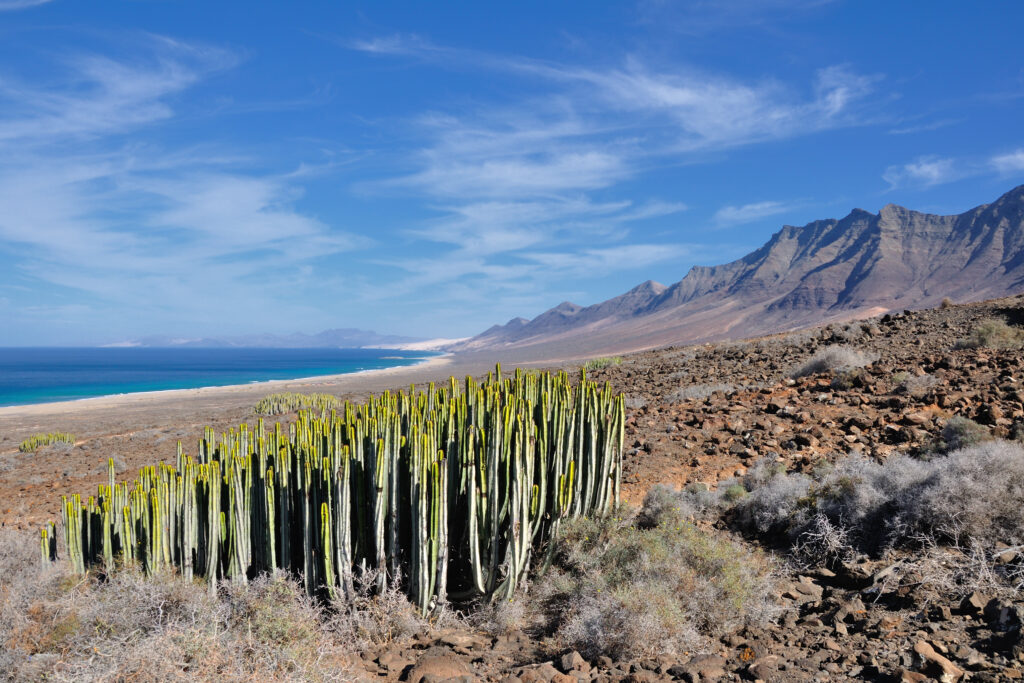 Featured image for Fuerteventura en 48 Horas: Paraíso Atlántico de Contrastes Infinitos
