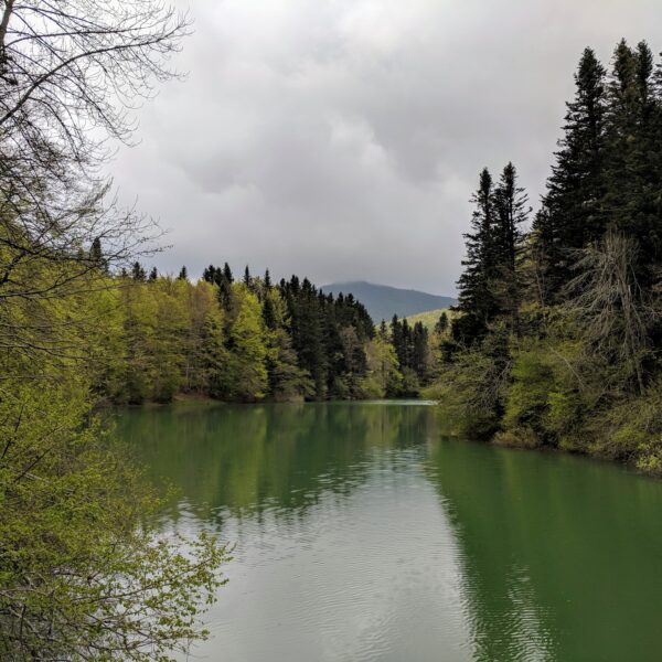 Featured image for 2 Días en la Selva de Irati: Un Viaje Mágico al Corazón del Pirineo Navarro