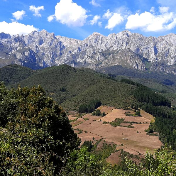 Featured image for Picos de Europa: Un Paraíso Terrenal entre Nubes y Leyendas