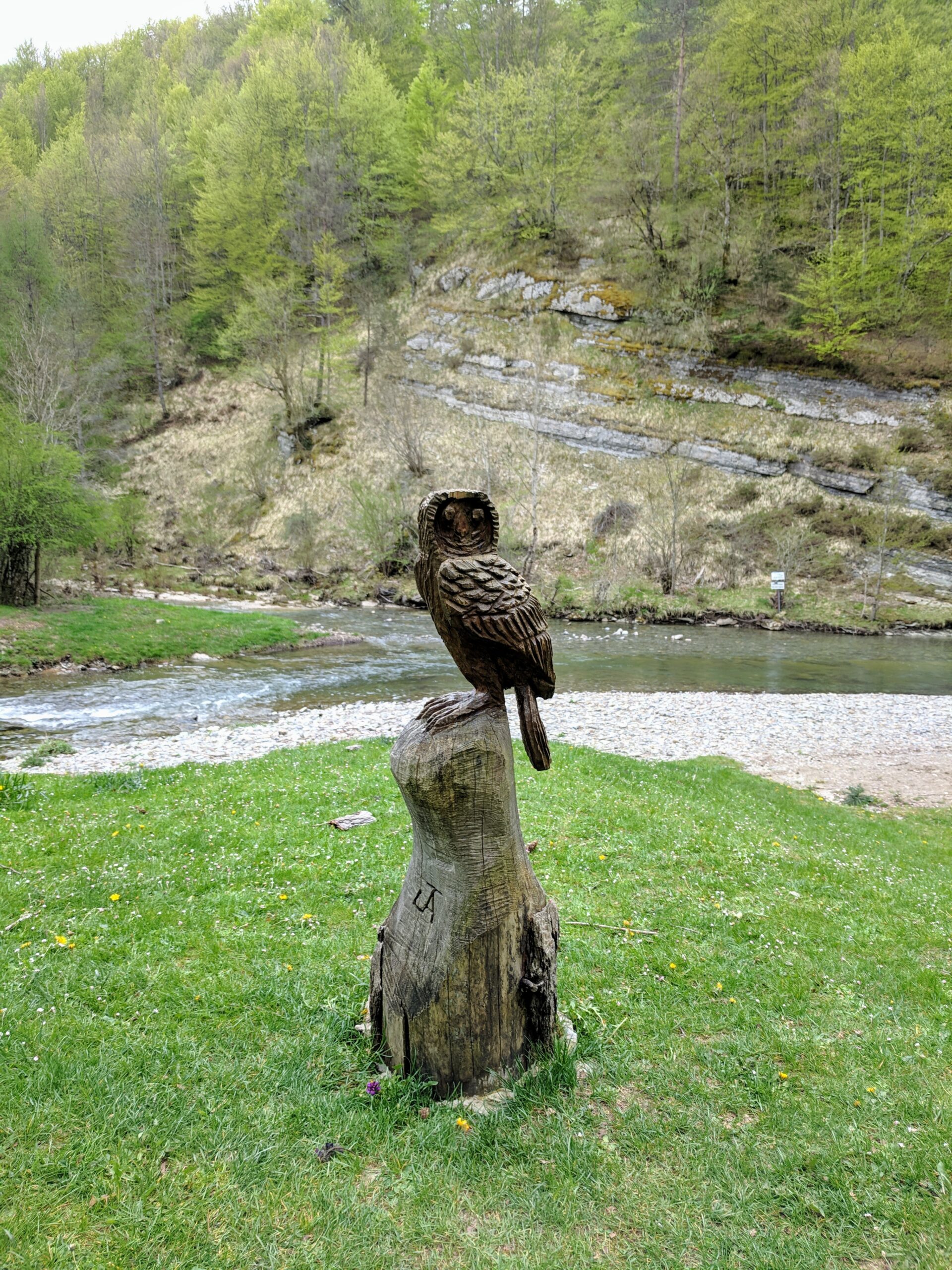 Selva de Irati 023.jpg