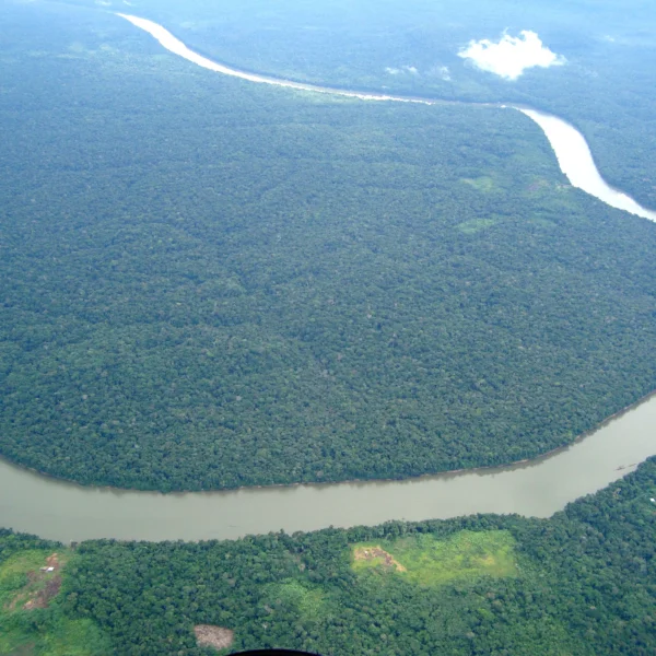 Leticia, Amazonas Colombiano: La Guía Definitiva para el Viajero Curioso in Leticia