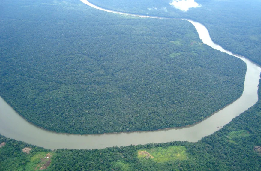 Leticia, Amazonas Colombiano: La Guía Definitiva para el Viajero Curioso in Leticia