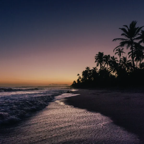 Palomino, Colombia: Guía Rápida y Esencial