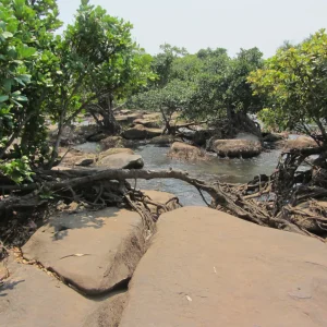 Borde de la catarata / L.Willms