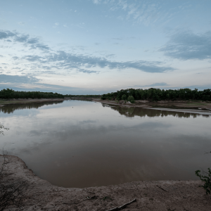 El Impenetrable: Una espectacular selva en el corazón de Argentina