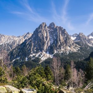 the mountains are covered in snow and trees. Autor: Mateo Krossler. Fuente: Unsplash.